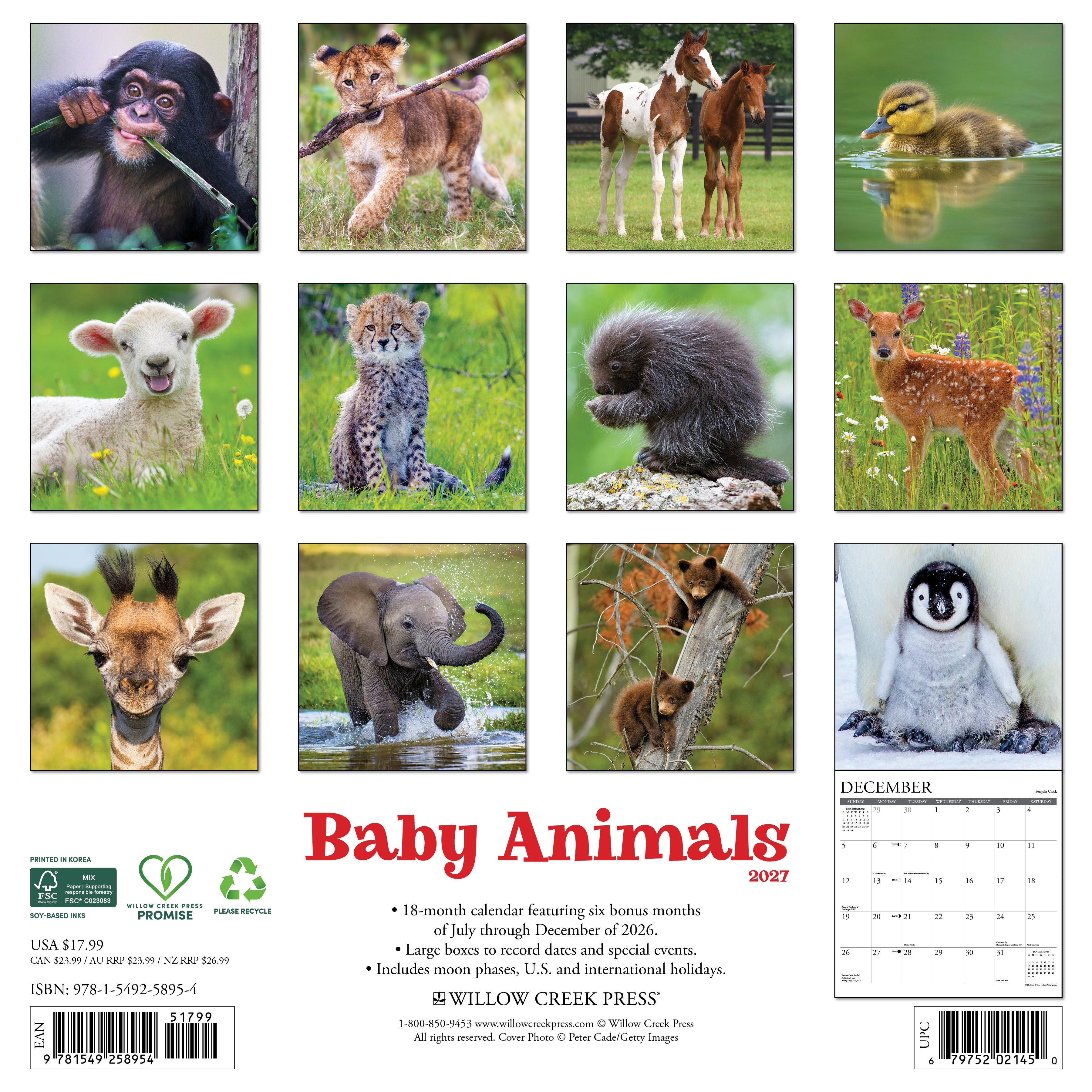 Willow Creek Press, Baby Animals 2027 Wall Calendar