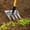 C, variant on JUSEO Garden Hoe Rake C – Four-Tine Steel Weeding Tool