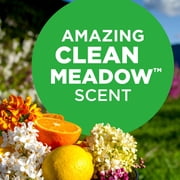 ARM & HAMMER Plus OxiClean Ultra Stain Fighters Liquid Detergent, Clean Meadow, 96.2 Fl Oz