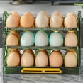 thumbnail image 4 of Contenedor de almacenamiento de huevos perfecl 30 rejillas 25 cm x 20 cm x 10 cm, 4 of 8
