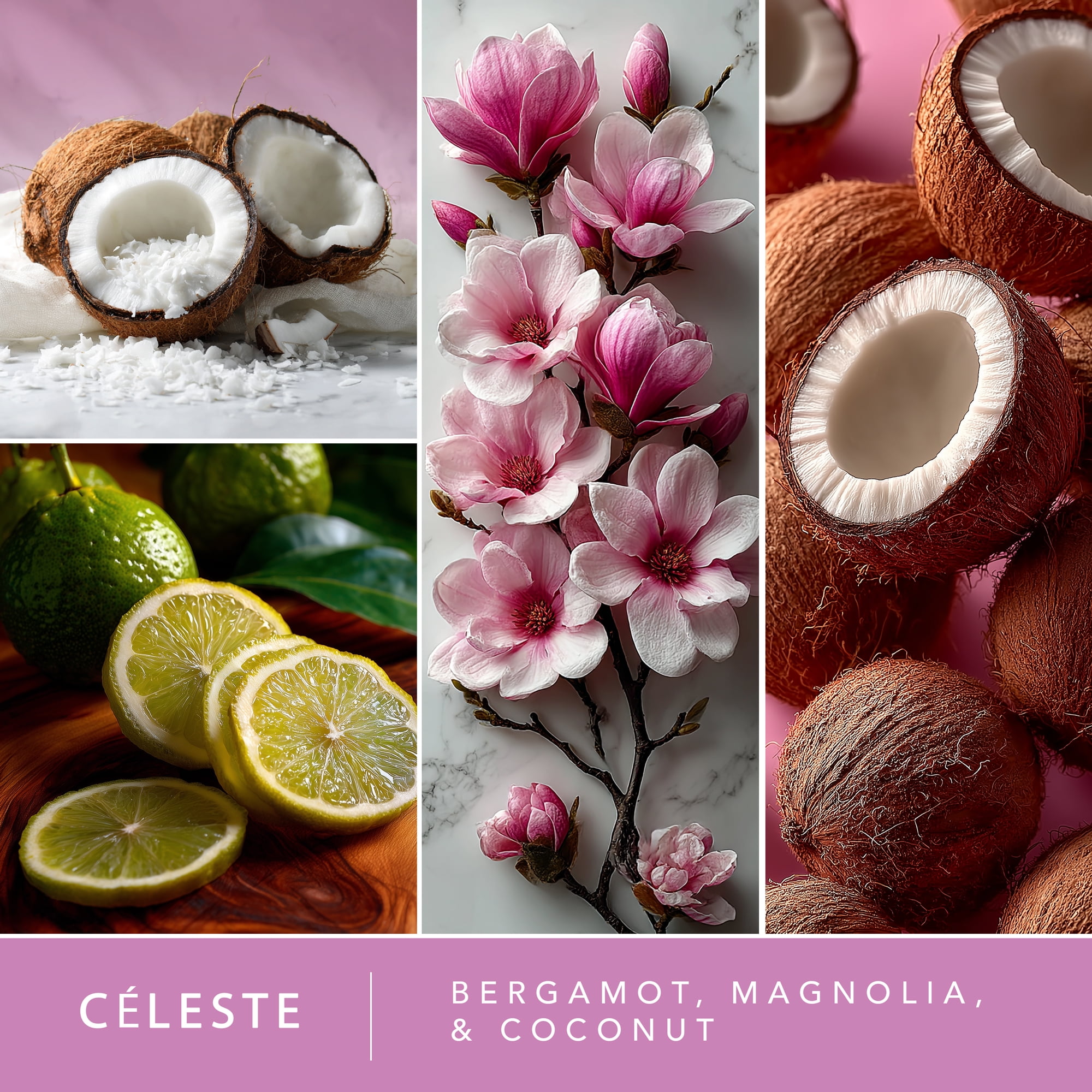 (5 pack) Celeste Scented Wax Melts, ScentSationals, 5 oz