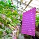 thumbnail image 4 of Lámpara de Cultivo LED Wdftyju 12W 169 Espectro Completo, 4 of 8