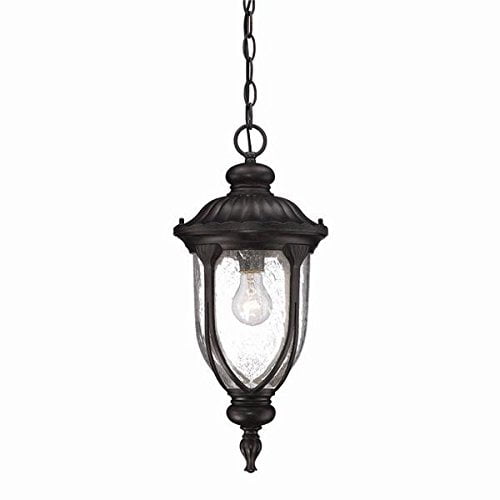 Acclaim 2216BC Laurens Collection 1-Light Outdoor Light Fixture Hanging Lantern, Black Coral