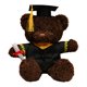thumbnail image 2 of Juguete de peluche de oso de graduación | Gafas de bata doctoral Scroll | Peluche suave | Regalo Conmemorativo de Graduación | Muñeca de tela de poliéster | Decoración de la oficina en casa | 1, 2 of 8
