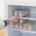thumbnail image 2 of MesaSe Refrigerator Storage Fresh 10 Egg Tray Kitchen Use With Cover Dustproof Anti-Pollution, 2 of 6