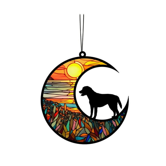 Riforla DIY Name Car Pendant Colorful Acrylic Pendant Cute Dog Tag Moon Pet Acrylic Pendant Commemorative Pet Hanging Window Pendant Sun Acrylic Catcher Pet Pendant Gift Hangs Home Decor Orange