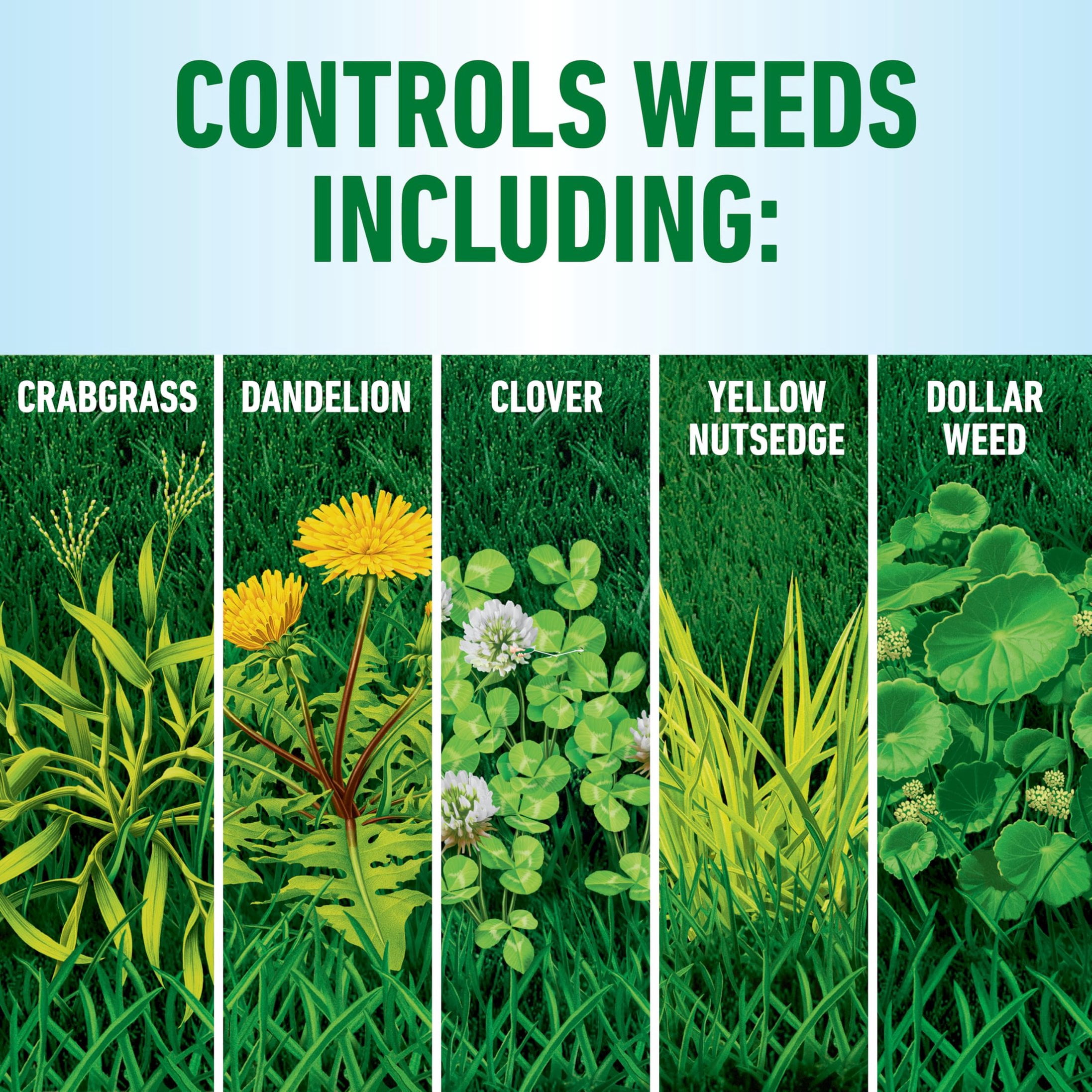 Roundup for Lawns Ready-to-Use with Extended Wand, Tough Weed Killer for Use on Northern Grasses, 1 gal.