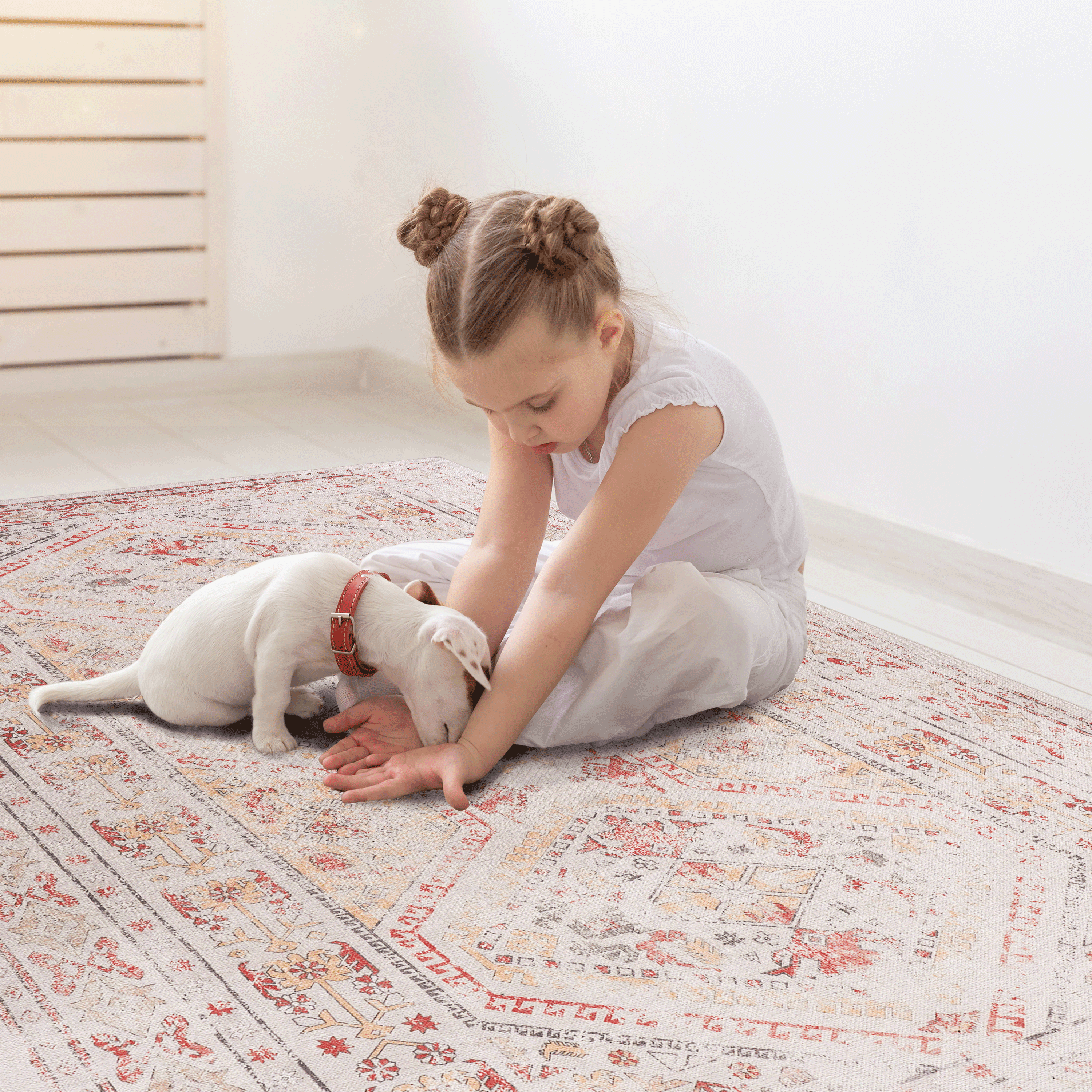 Washable Area Rug 2' x 3' Non-Slip Low Pile Chenille Doormat Rug Stain Resistant Indoor Carpet for Living Room Bedroom Kitchen Entryway
