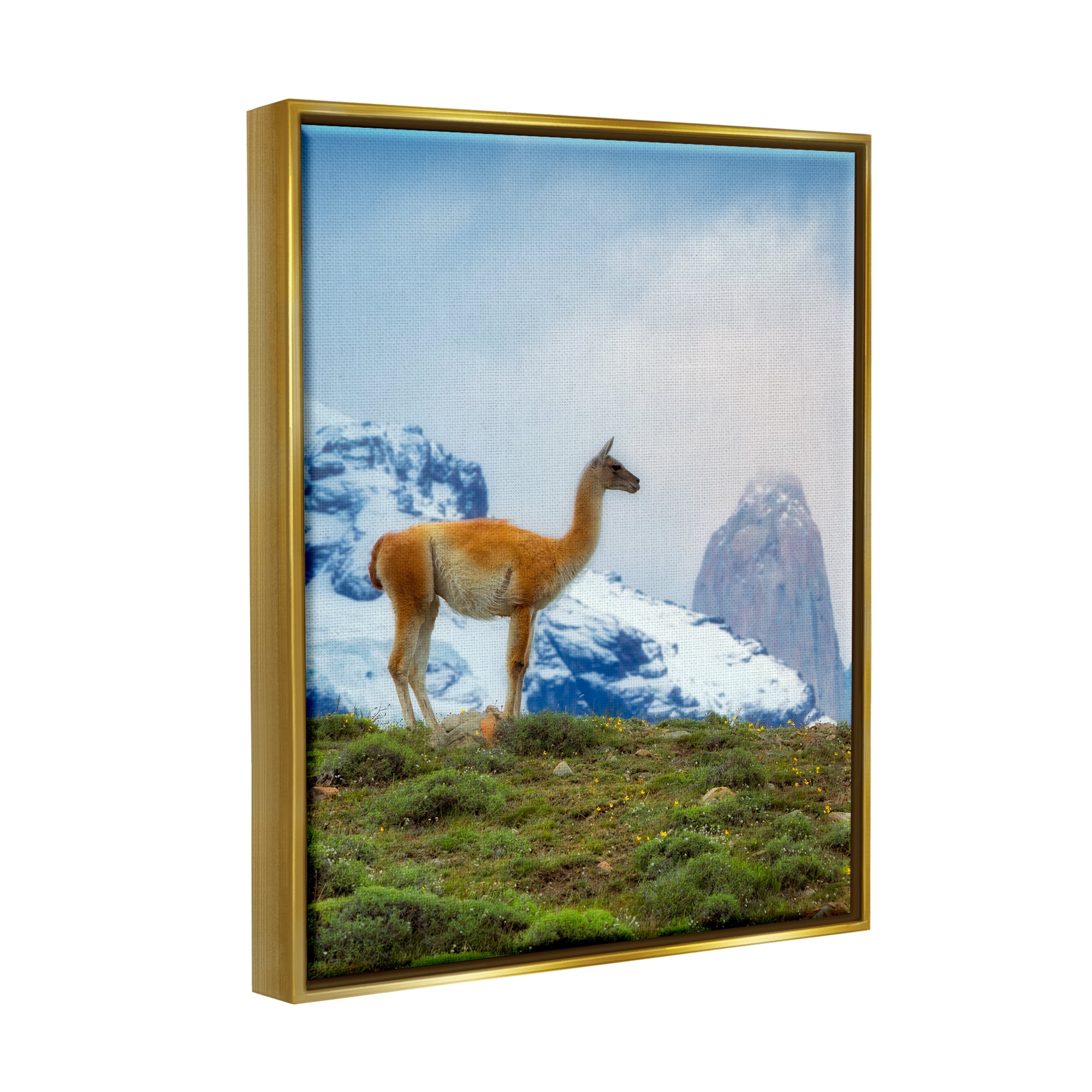 Stupell Industries Wild Llama Photography Animals & Insects Photography Gold Floater Framed Art Print Wall Art, 25 x 31