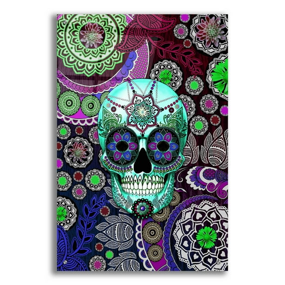 Epic Art 'Sugar Skull Sombrero Night' by Fusion Idol Arts, Acrylic Glass Wall Art, 24"x36"