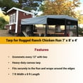 thumbnail image 5 of Chicken Run Tarp - Weather Protection Walk-In Coops | Hatching Time, 5 of 5