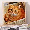 thumbnail image 3 of Cuadros Decorativos Kit de pintura de diamante 5D, imagen de mosaico de taladro redondo completo de gato DIY (B3412) Likrtyny embutido en tela, 3 of 6