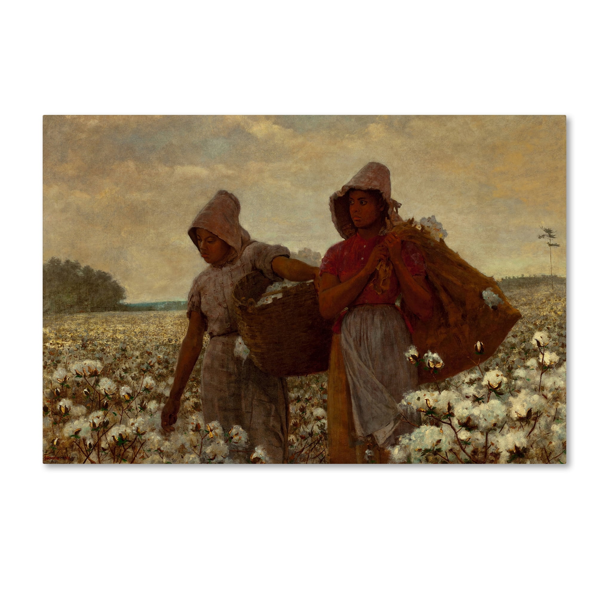 The Cotton Pickers  by Winslow Homer   Giclee Canvas Print  Repro 