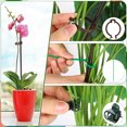 thumbnail image 7 of topjuju 135 Pcs Plant Support Stakes, Brown Height Adjustable Garden Single Stem Plant Stake with Clips, Connect Pipe and Plant Ties, Plant Stick for Orchid Rose Peony Peppers Amaryllis Tomato, 7 of 7