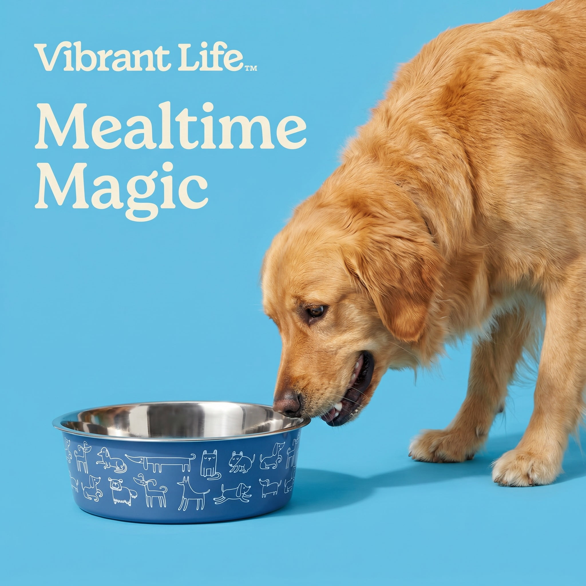 Vibrant Life Large 7.5-Cup Stainless Steel Dog Printed Pet Bowl, Navy