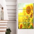 thumbnail image 1 of Bright Sunflowers Blooming on Field - Large Animal Canvas Art Print, 1 of 3