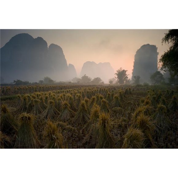 Posterazzi DPI1846203LARGE Bundles in Mountain Area - Yangshuo China Poster Print, Large - 40 x 26