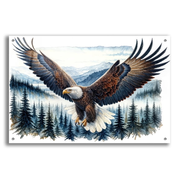 Epic Art 'Soaring Bald Eagle 3' by Rey Klimt Acrylic Glass Wall Art, 36" x 24"