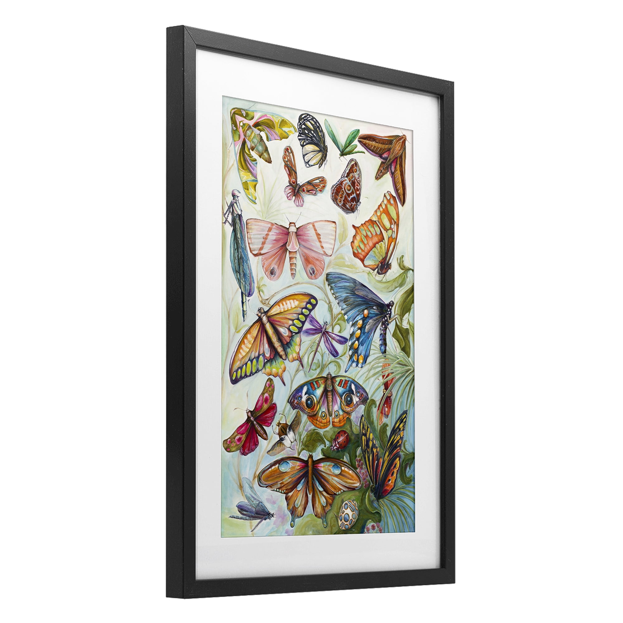 Stupell Industries Colorful Butterfly Conservatory Black Framed Print Under Glass, design by Diannart