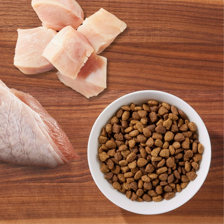 Iams indoor top cat food walmart