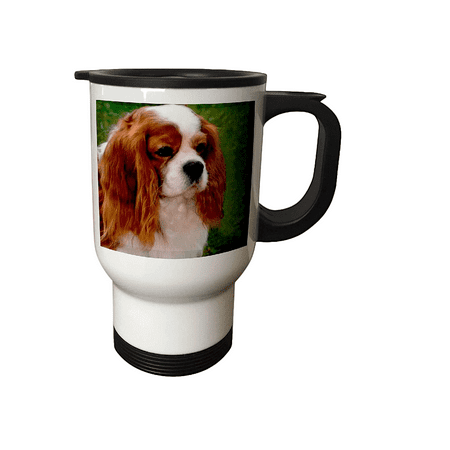 

Sad Charles Spaniel Travel Mug 14 oz