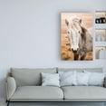 thumbnail image 3 of Trademark Fine Art 'Heida II' Canvas Art by Laura Marshall, 3 of 3
