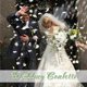 thumbnail image 3 of Dried Real White Rose Petals, Freeze Preserved Flower Petals for Wedding Party, 3 of 5