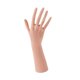 thumbnail image 5 of Mannequin Hand Model Jewelry Organizer Soporte portátil de práctica ligera Homing Hand Holing para la habitación Home Fotograps Props, 5 of 8