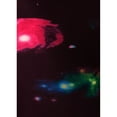 thumbnail image 4 of Lady's Printed Leggings - Outer Space in Red Printed Legging, 4 of 4