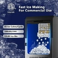 LifePlus Commercial Ice Machine 100 lbs Auto Clean Freestanding