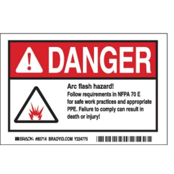 Brady Label,4 in x 6 in,Polyester,PK5 EL-4