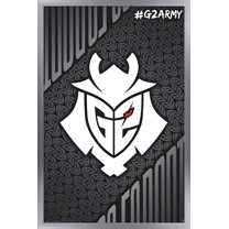 G2 Esports - G2 Army Wall Poster, 14.725" x 22.375" Framed