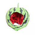 thumbnail image 1 of 2x Gorro De Sandía, Tocado De Fruta, Tocado, Cubierta Para La Cabeza, Duradero Para Navidad, 1 of 2
