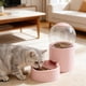 thumbnail image 5 of Comedero automático para mascotas con temporizador y almacenamiento sellado - Dispensador programable de pienso seco para gatos, perros y animales pequeños, 5 of 6