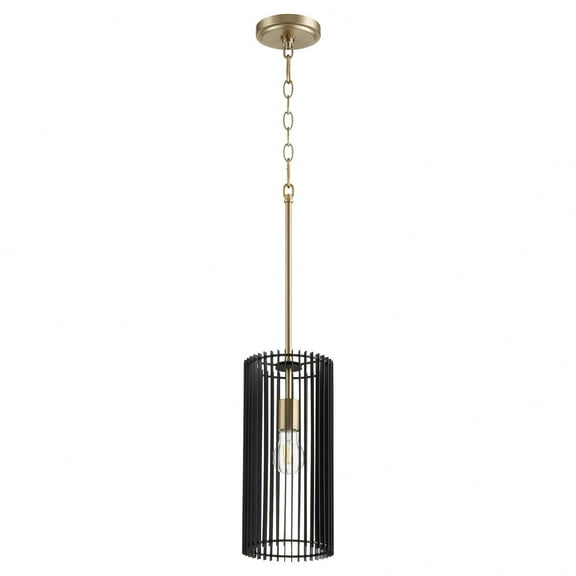 Quorum Lighting Finura 1-Light Pendant, Aged Brass, 14.25, Rod & Chain, Damp Rated