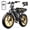 R9-Yellow-15AH-Lock, variant on TST Electric Bike for Adults, 750W Motor, 20"x4" Fat Tire E Bicycle, E Mountain Bike, 48V/15AH, Tested to UL2849 Standard by SGS