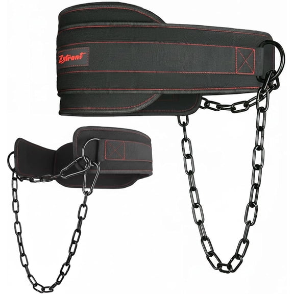 Weightlifting Dip Belt with Chain, Heavy Duty 550-650 lbs Capacity, for Dips and Pull-ups,Black