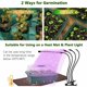 thumbnail image 5 of Mini Invernadero para Plantas, 6 Piezas Bandeja de Plántulas de Interior de 72 Celdas Bandeja de Plántulas Caja de Cultivo de Vivero con Cubierta Duradera y Ventilación, 5 of 5
