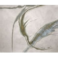 thumbnail image 2 of Gutierrez, Katie C. 17x15 White Modern Wood Framed Museum Art Print Titled - Icarus 10, 2 of 4