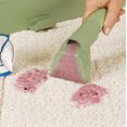 thumbnail image 2 of Little Green® Portable Carpet & Upholstery Cleaner, 2 of 8