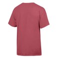 thumbnail image 3 of Men's ComfortWash Red Washington State Cougars Logo Over Stacked T-Shirt, 3 of 3