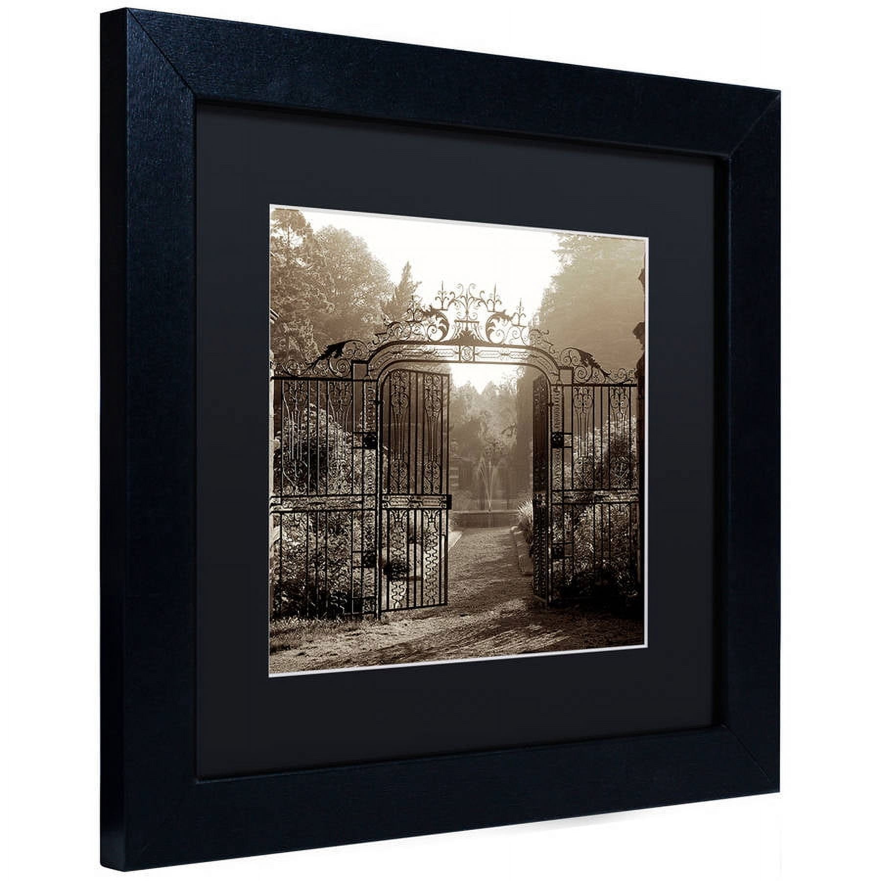 Trademark Fine Art "Hampton Gates III" Canvas Art by Alan Blaustein, Black Matte, Black Frame