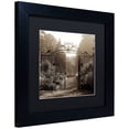 thumbnail image 2 of Trademark Fine Art "Hampton Gates III" Canvas Art by Alan Blaustein, Black Matte, Black Frame, 2 of 4