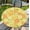 Citrus Mix, variant on Round Fitted Tablecloth with Elastic Edge, Waterproof Stain Resistant Fabric Table Cover for 36"-65" Round Table, Indoor Outdoor Dining, Kitchen Decor, Camping, Holiday, Party