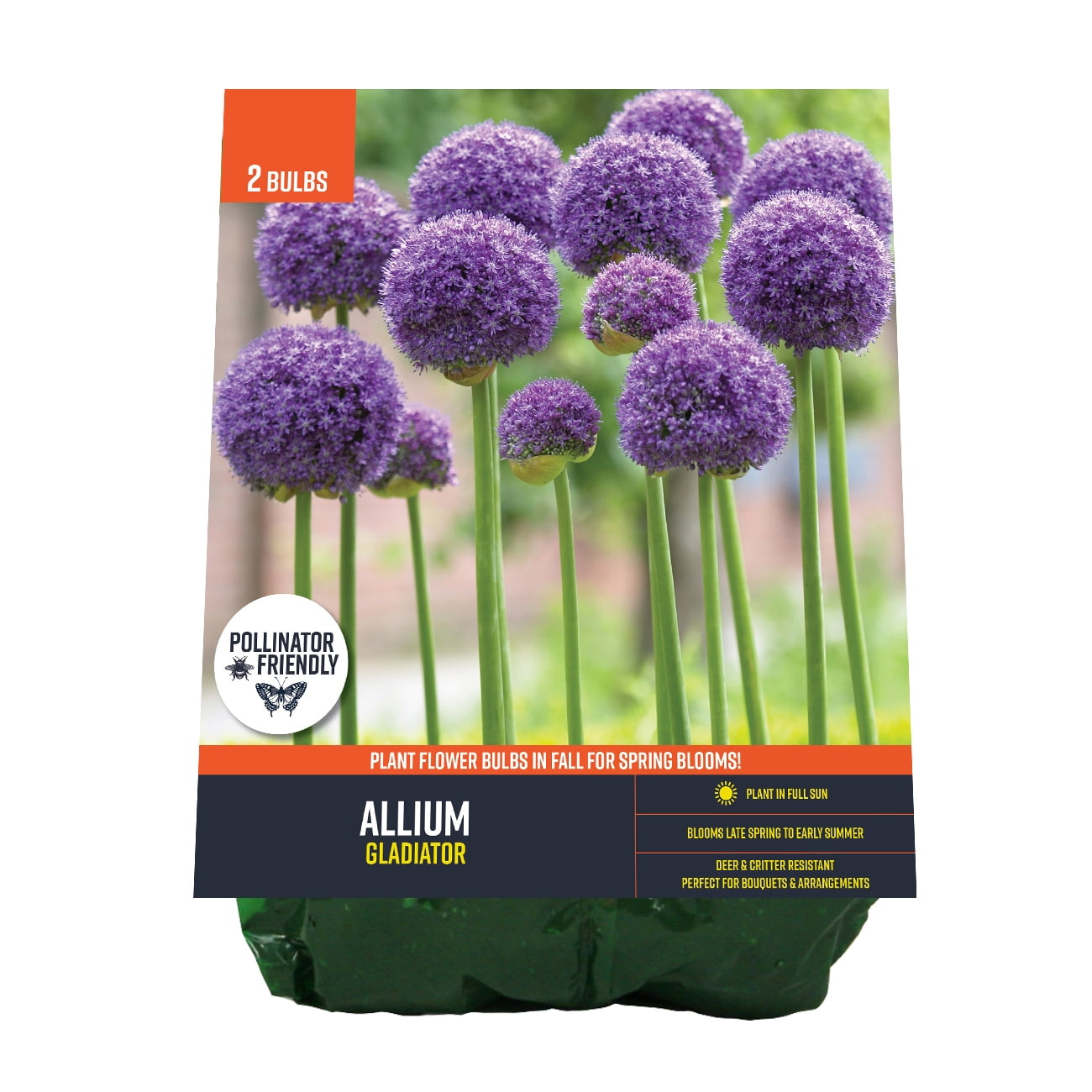 新品］SLOTHREAT Allium Deer-Proof Allium for Naturalizing