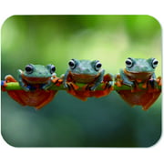 Yeuss Tree Toad Mouse Pad Rectangular Non-Slip Mousepad, Java Tree Frog Flying Frog On Branch Gaming Mouse Pads, Yellow