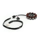 thumbnail image 4 of Generador de estator magnético para Yamaha X-Max 300 250 Tricity Evolis 300 2017-2020, 4 of 9
