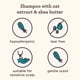 thumbnail image 3 of Aveeno Kids Curly Hair Shampoo With Oat Extract &amp; Shea Butter, Gently Cleanses, Nourishes, &amp; Hydrates Curly Hair, Tear-Free &amp; Suitable for Sensitive Skin &amp; Scalp, Hypoa, 3 of 7