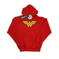 thumbnail image 1 of DC Comics Mens Wonder Woman Logo Hoodie, 1 of 3