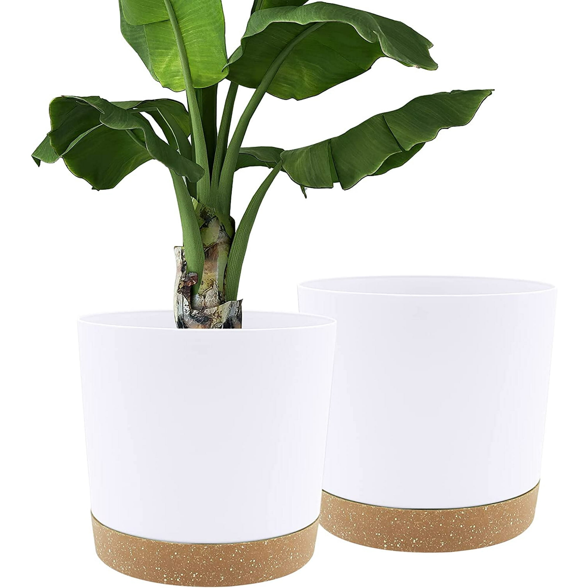 Lot De 6 Sous-Verres Réversibles Pour Plantes - 3 Tailles 10,2cm 15,2cm 20,3cm, Absorbants Et Antidérapants